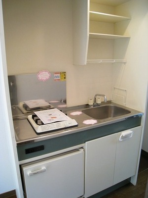 Kitchen. Gasukitchin of mini-refrigerator with