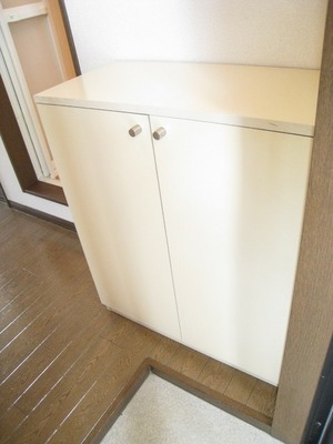 Entrance. Shoe box