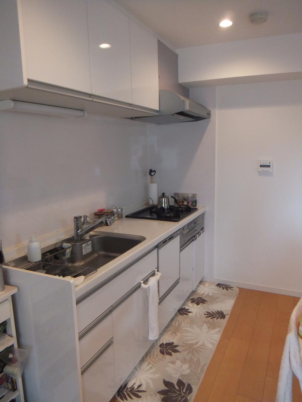 Kitchen. Indoor (12 May 2013) Shooting