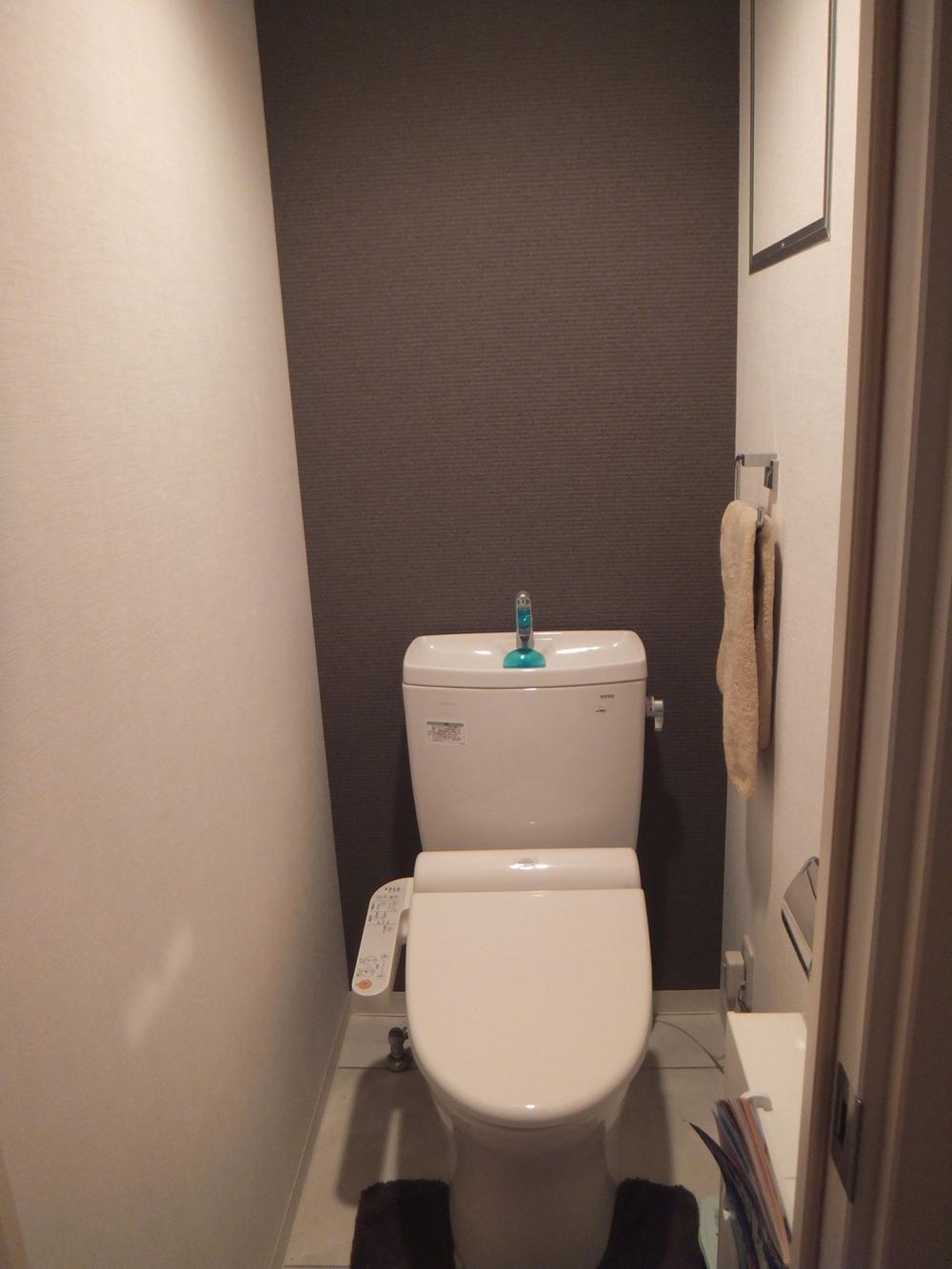 Toilet. Indoor (12 May 2013) Shooting