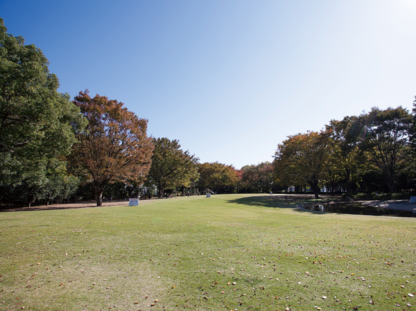 Surrounding environment. Totsuka China and Taiwan park (about 820m ・ 11-minute walk)