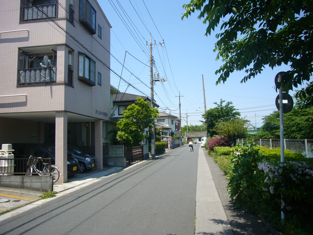 Other
