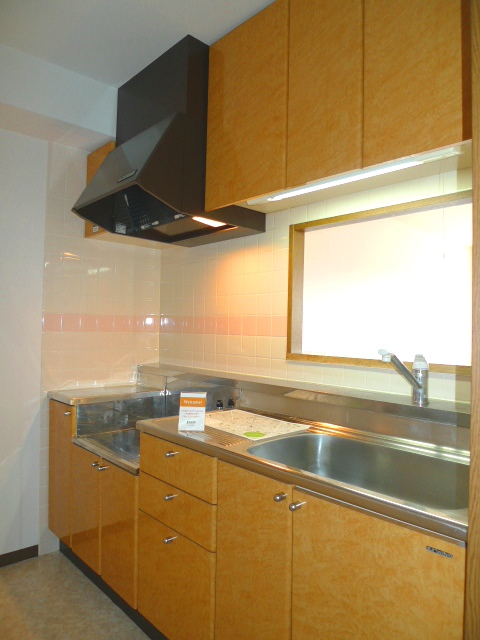 Kitchen. Kitchen