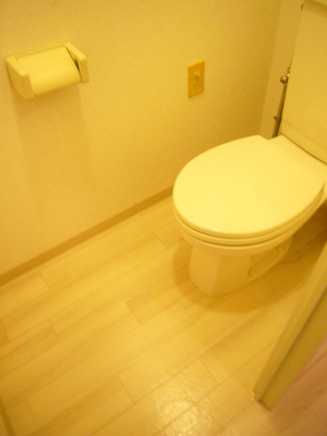 Toilet. Toilet