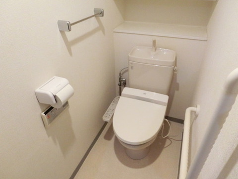 Toilet. Toilet