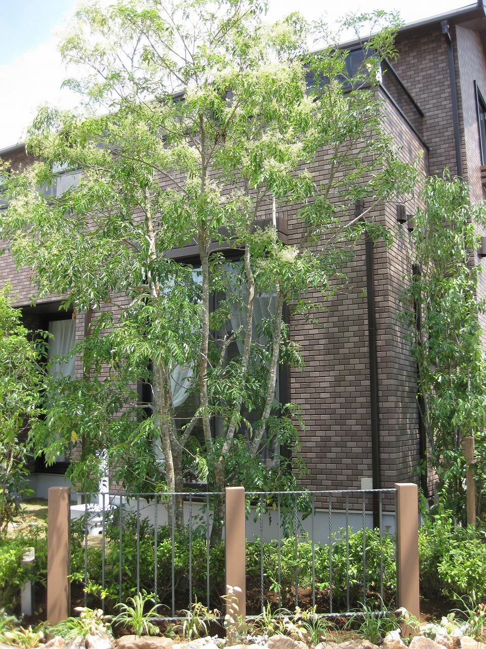 Local appearance photo. ・ Green building.