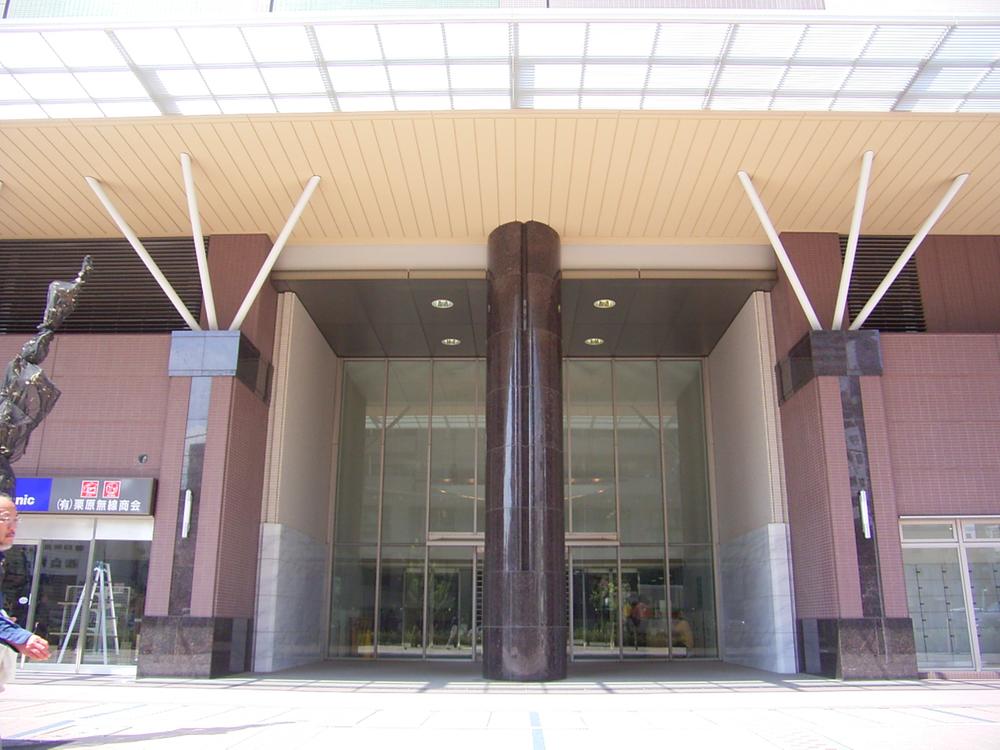 Entrance. Common areas