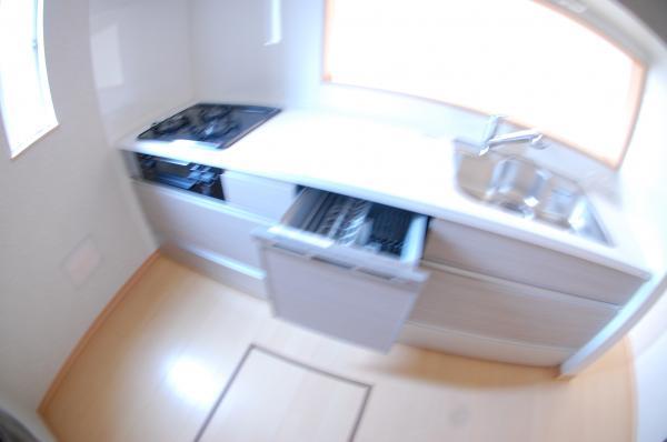 Kitchen. Dishwasher built-in system kitchen