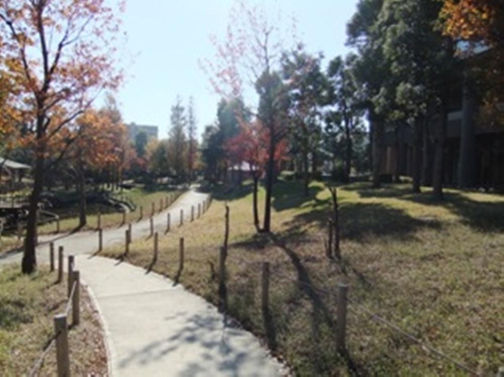 Other. Local (11 May 2013) Shooting