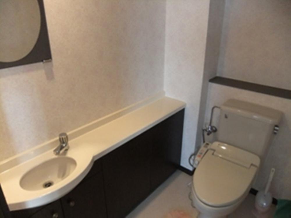 Toilet. Indoor (12 May 2013) Shooting