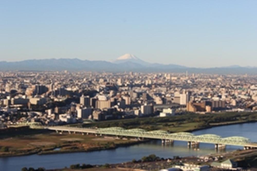 Other. View from the room Mt.