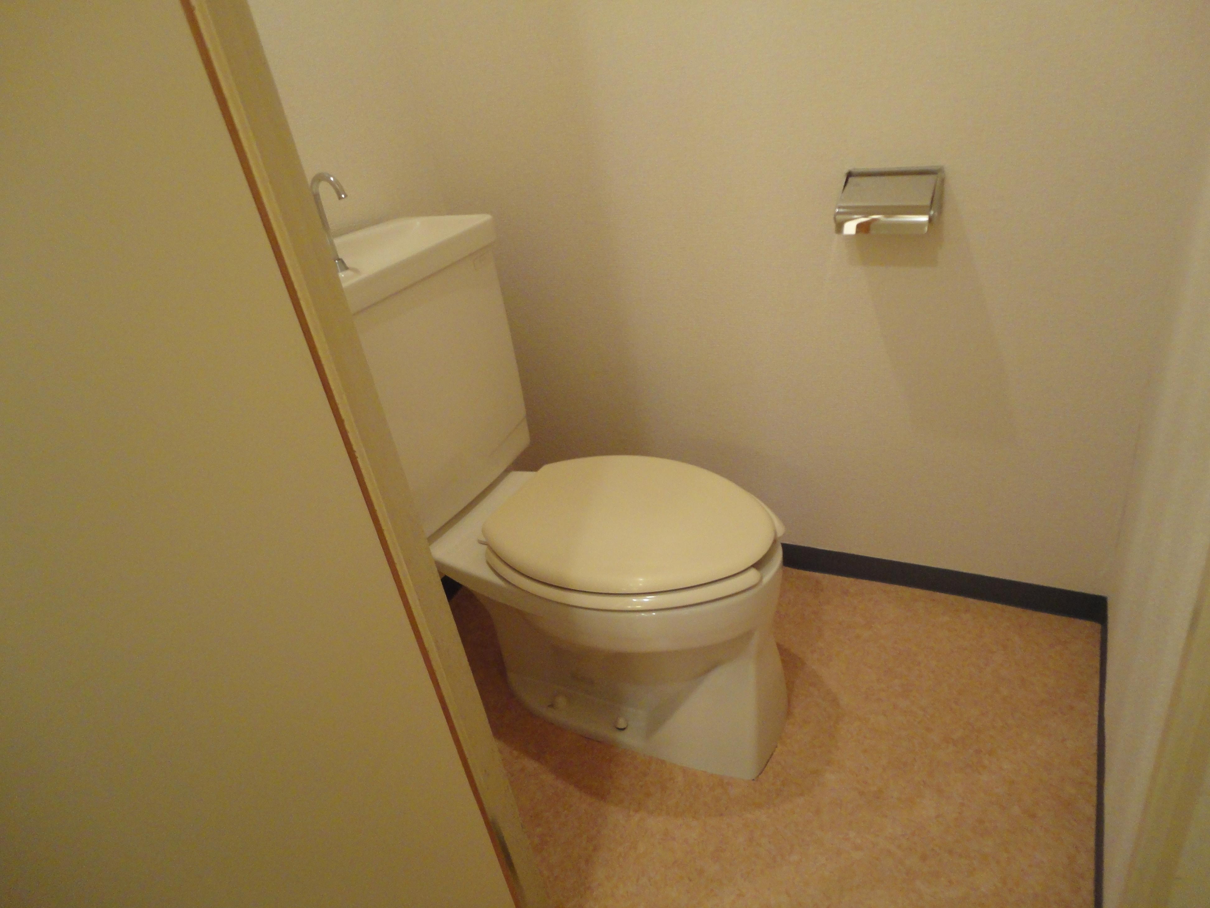 Toilet