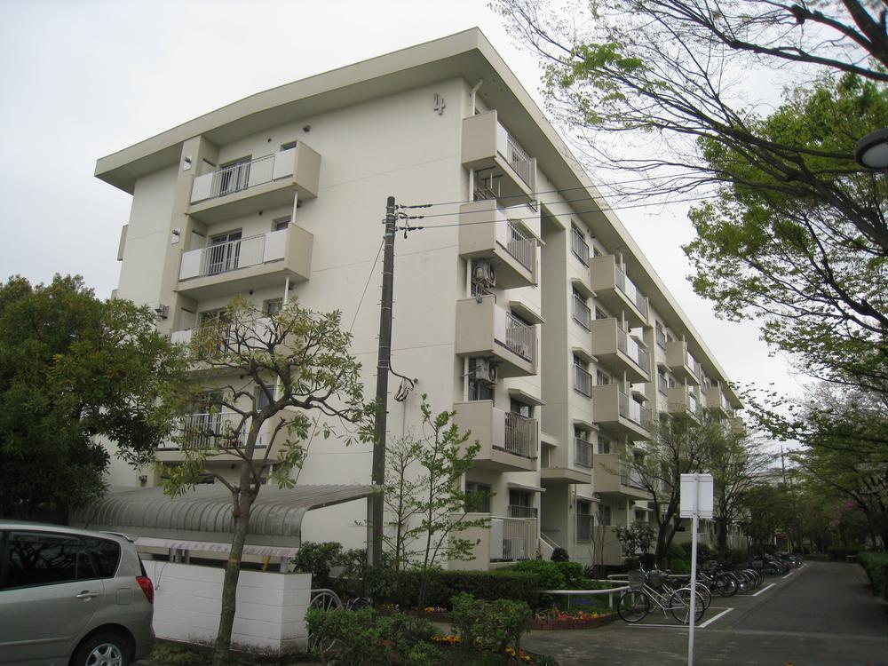 Local appearance photo. Local (11 May 2013) Shooting