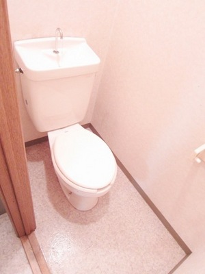 Toilet. Toilet