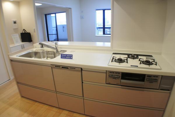 Kitchen. Dishwasher built-in system kitchen