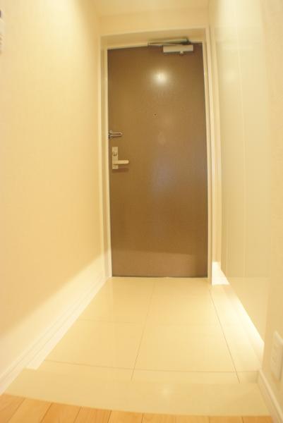 Entrance. Footlights with entrance storage