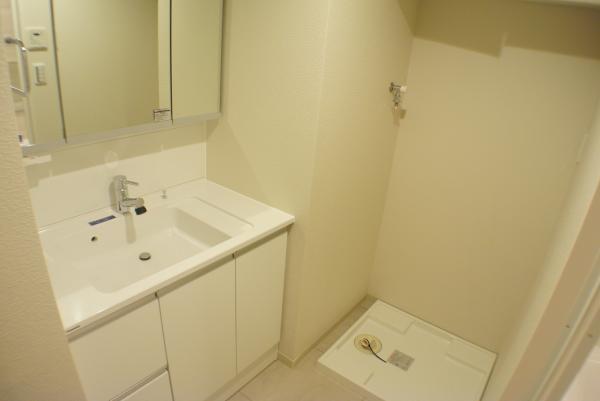 Wash basin, toilet. Wash basin with a shower of big success in the morning of the dressing