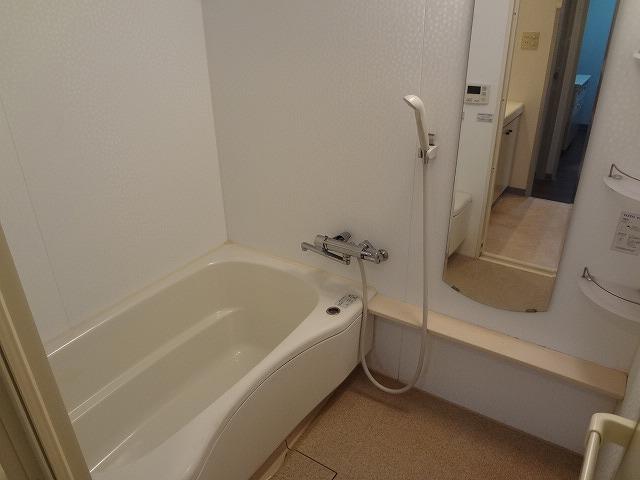 Bathroom. Indoor (January 2014) Shooting