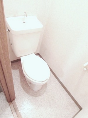 Toilet. Toilet