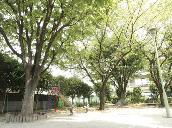 Surrounding environment. Saiwaicho Sanchome Akatsuki park (about 270m ・ 4-minute walk)