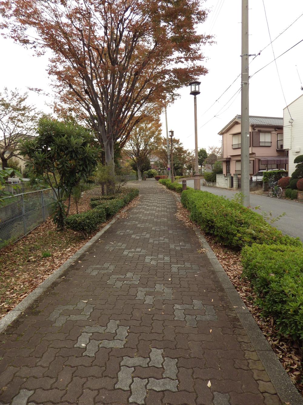 Other local. Local (11 May 2013) Shooting