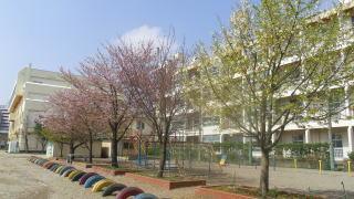 Primary school. Kawaguchi City in December Field Elementary School