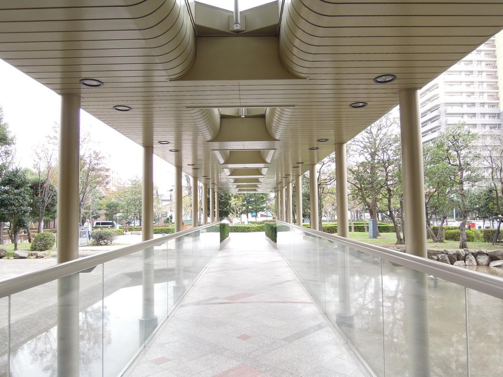 Entrance. Common areas (entrance approach)