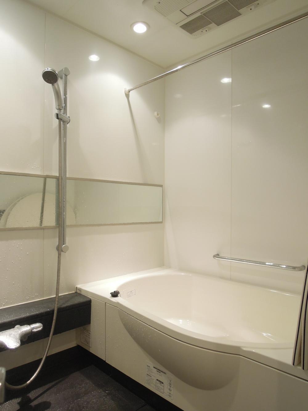 Bathroom. Indoor (January 2014) Shooting