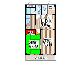Building appearance