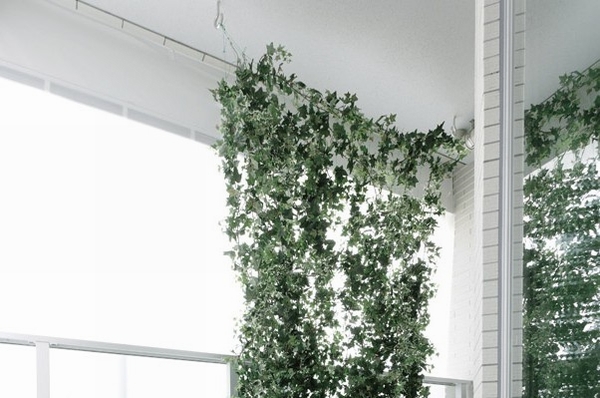 Balconies, Green curtain to soften the sunshine of the summer is possible installation (dedicated mounting hook: same specifications Photos ※ Planting is not in equipment)