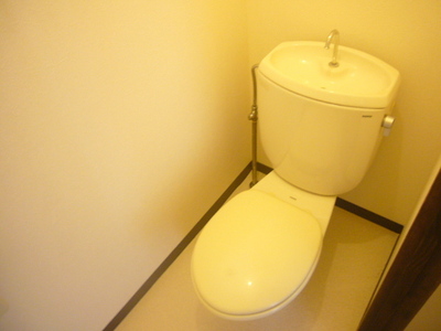 Toilet. Toilet