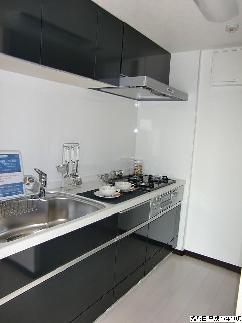 Kitchen. Indoor (10 May 2013) Shooting