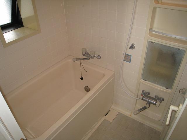 Bathroom. Local (July 2012) shooting