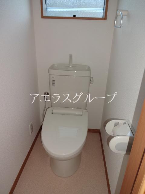 Toilet. Clean feeling full of bright toilet.