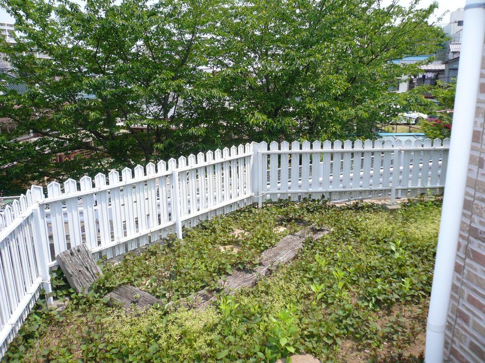 Garden. Local (July 2013) Shooting
