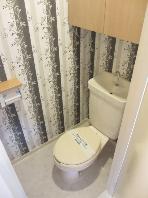 Toilet. With storage toilet space.