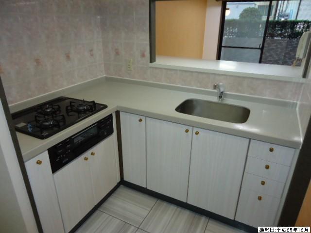 Kitchen. Indoor (12 May 2013) Shooting