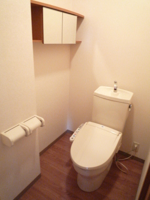 Toilet. ☆ Bidet with toilet ☆