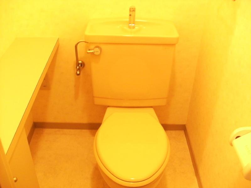 Toilet