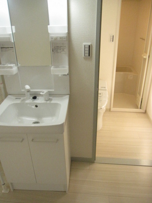 Washroom. There Shampoo dresser