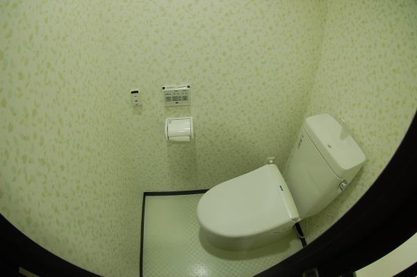 Toilet. Toilet with shower