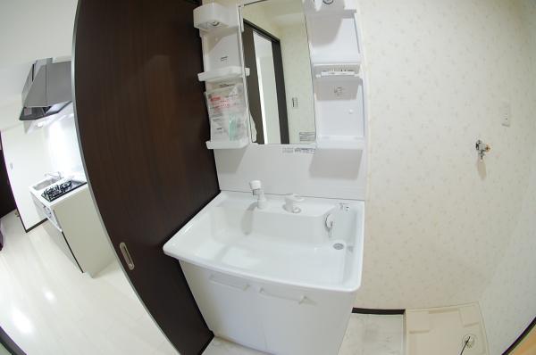 Wash basin, toilet. Wash basin with a shower of big success in the morning of the dressing