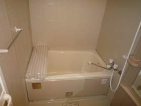 Bath. The bath is equipped with bathroom dryer!