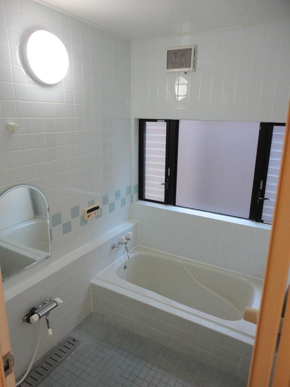 Bathroom. Local (September 2013) Shooting