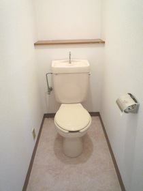 Toilet. Toilet