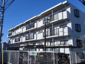 Building appearance