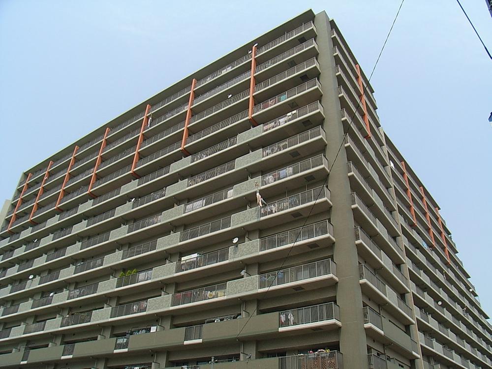 Local appearance photo. Local (10 May 2012) shooting