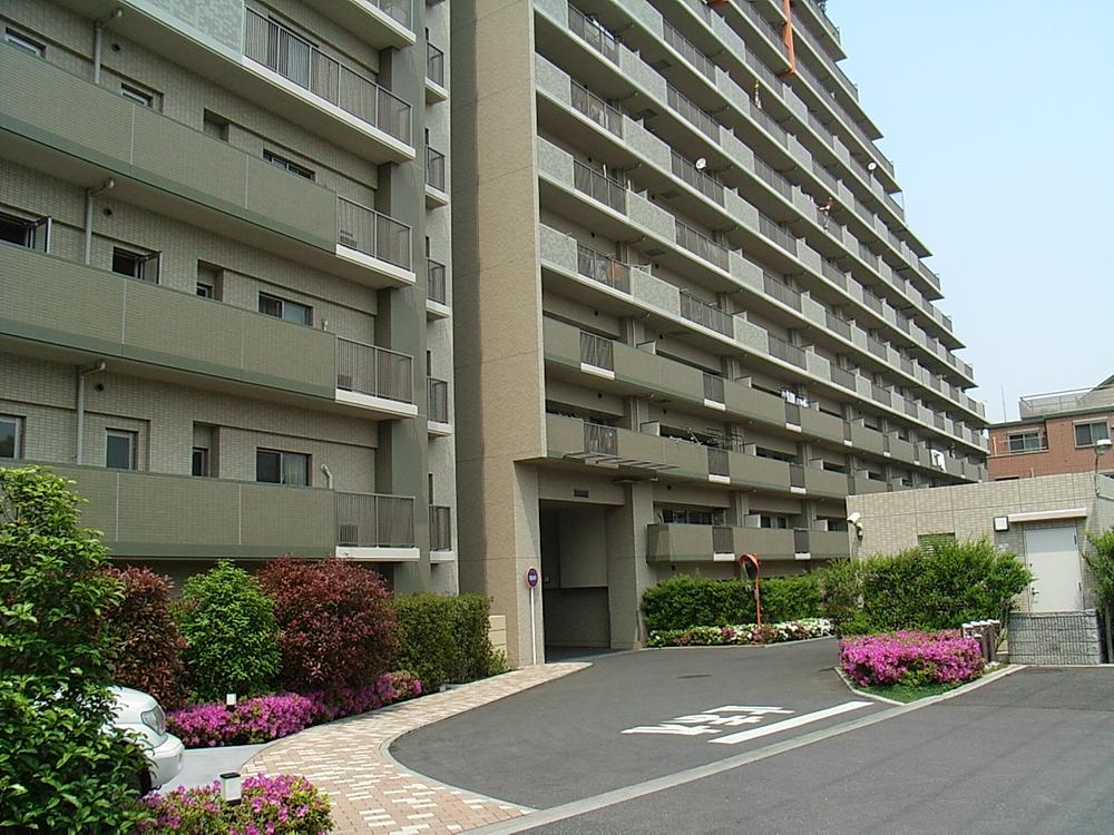 Other local. Local (12 May 2012) shooting