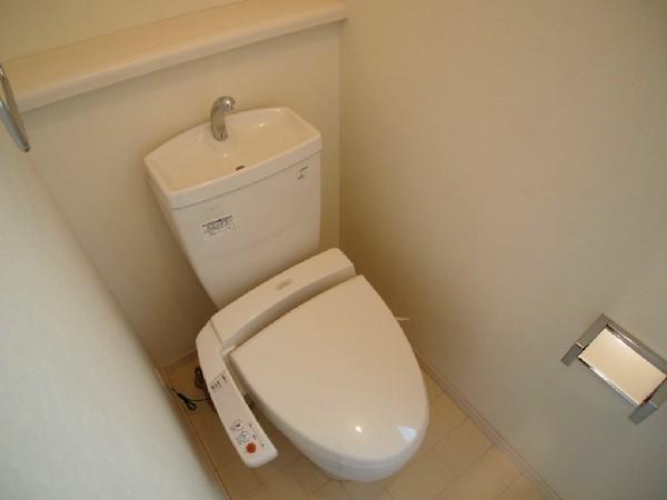 Toilet. Comfortable with warm water washing toilet seat to the toilet