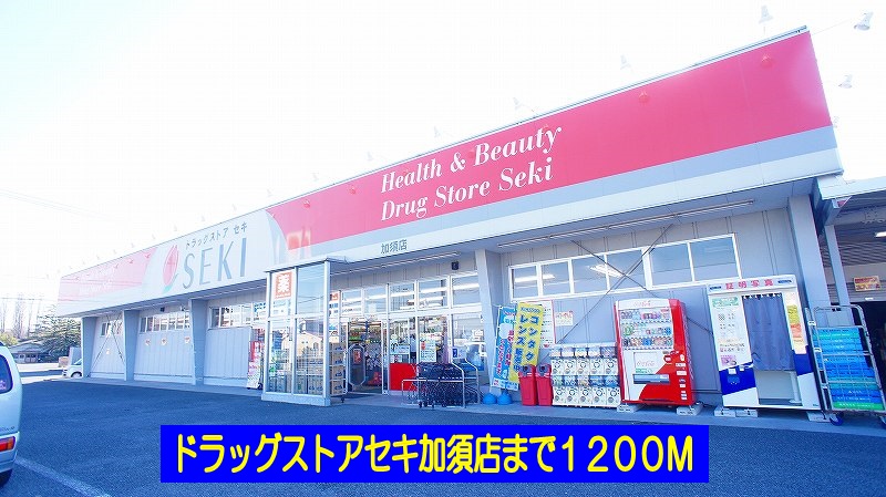 Dorakkusutoa. Drugstore cough Kazo shop 1200m until (drugstore)